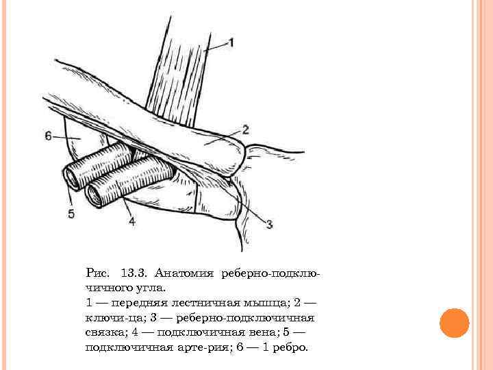 Рис. 13. 3. Анатомия реберно подклю чичного угла. 1 — передняя лестничная мышца; 2