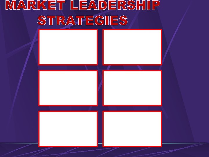 MARKET LEADERSHIP STRATEGIES Segmentatio n Long Term Outlook Heavy Advertising Effective Sales Promotion Customer