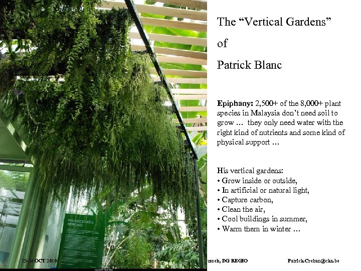 The “Vertical Gardens” of Patrick Blanc Epiphany: 2, 500+ of the 8, 000+ plant