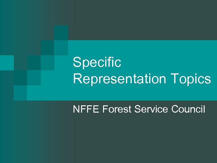 Specific Representation Topics NFFE Forest Service Council 