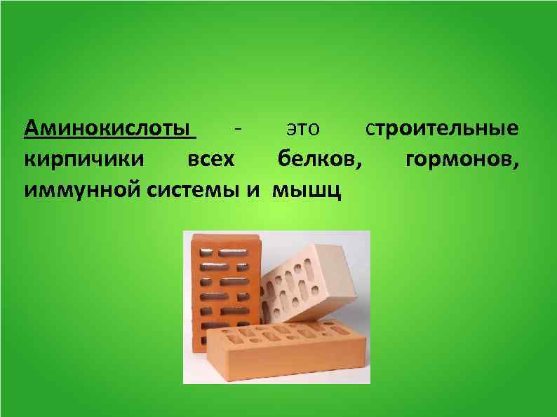Аминокислоты это строительные кирпичики всех белков, гормонов, иммунной системы и мышц 