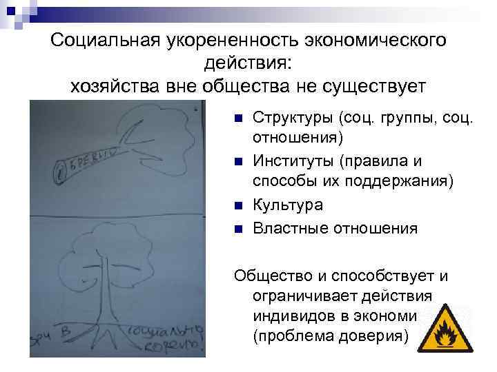 Социальная укорененность экономического действия: хозяйства вне общества не существует n n Структуры (соц. группы,