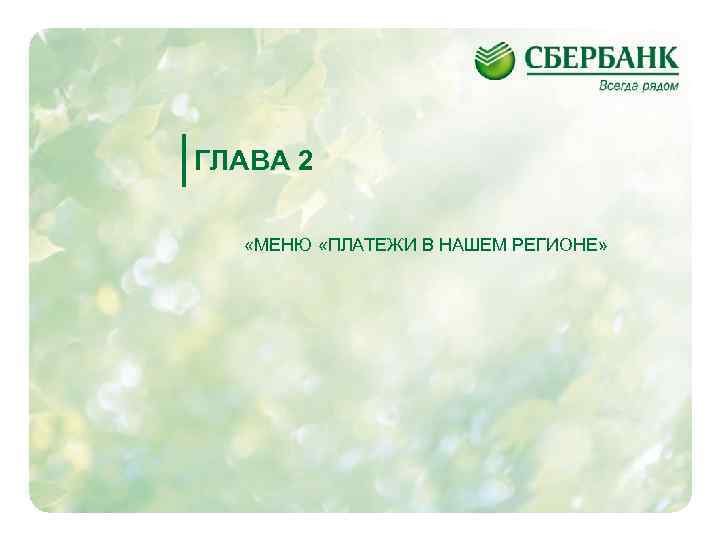 ГЛАВА 2 «МЕНЮ «ПЛАТЕЖИ В НАШЕМ РЕГИОНЕ» 12 