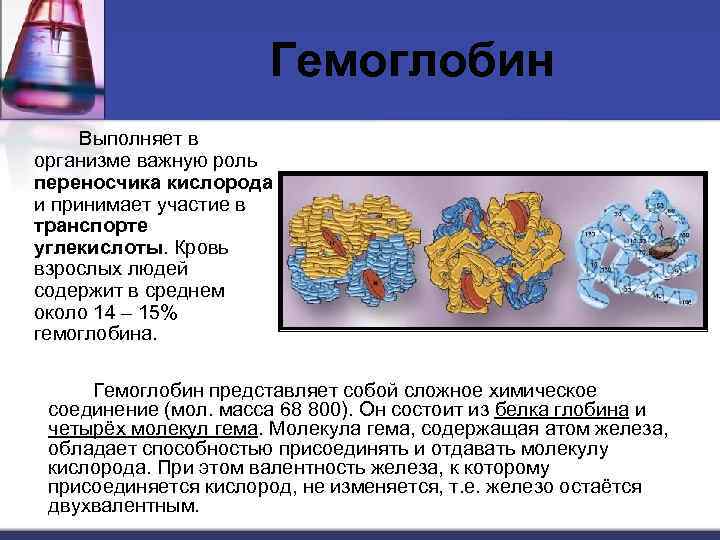 Гемоглобин Выполняет в организме важную роль переносчика кислорода и принимает участие в транспорте углекислоты.