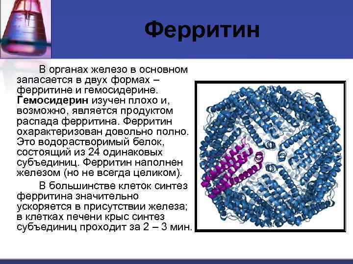 Ферритин В органах железо в основном запасается в двух формах – ферритине и гемосидерине.