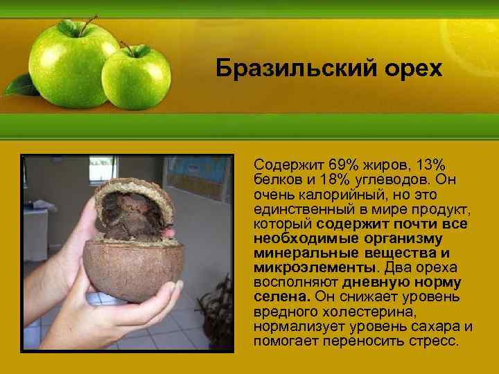 Бразильский орех Содержит 69% жиров, 13% белков и 18% углеводов. Он очень калорийный, но