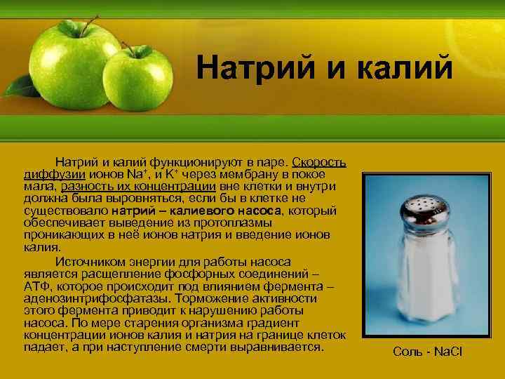 Натрий и калий функционируют в паре. Скорость диффузии ионов Na+, и K+ через мембрану
