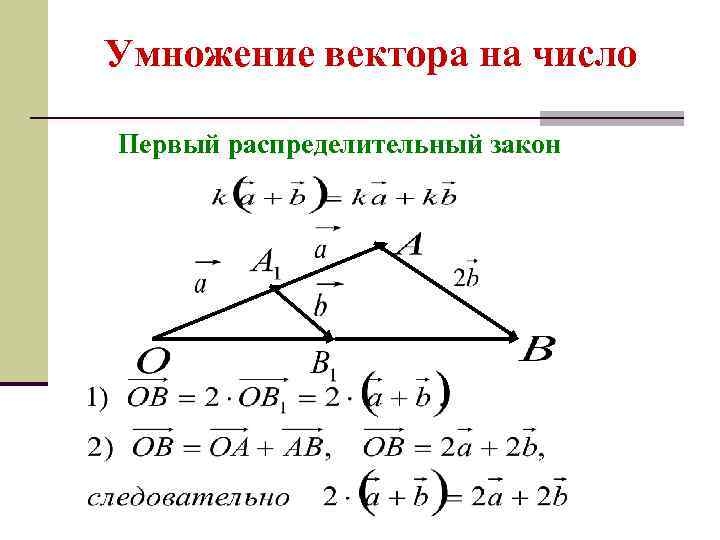 Умножение вектора на число Первый распределительный закон 