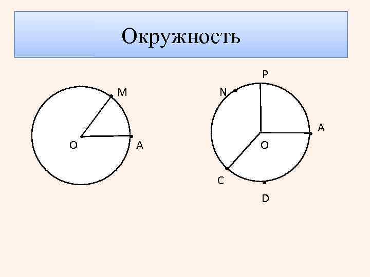 Окружность P М N A О А O C D 