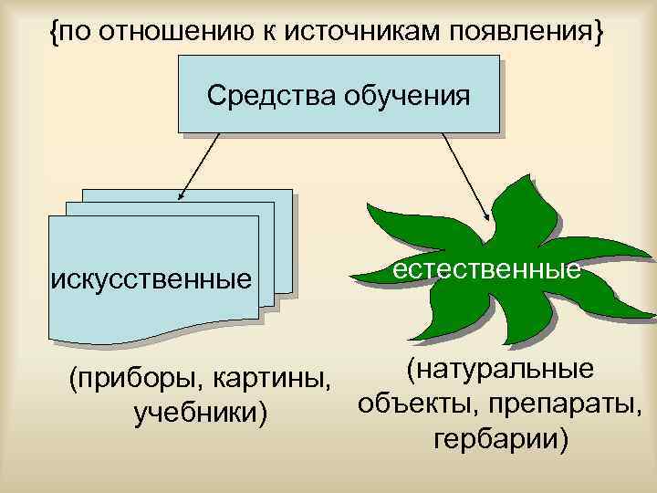 Искусственные приборы картины учебники и естественные натуральные объекты препараты гербарии