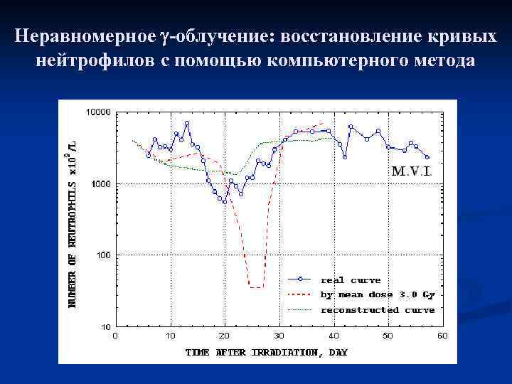 Неравномерное -облучение: восстановление кривых нейтрофилов с помощью компьютерного метода 