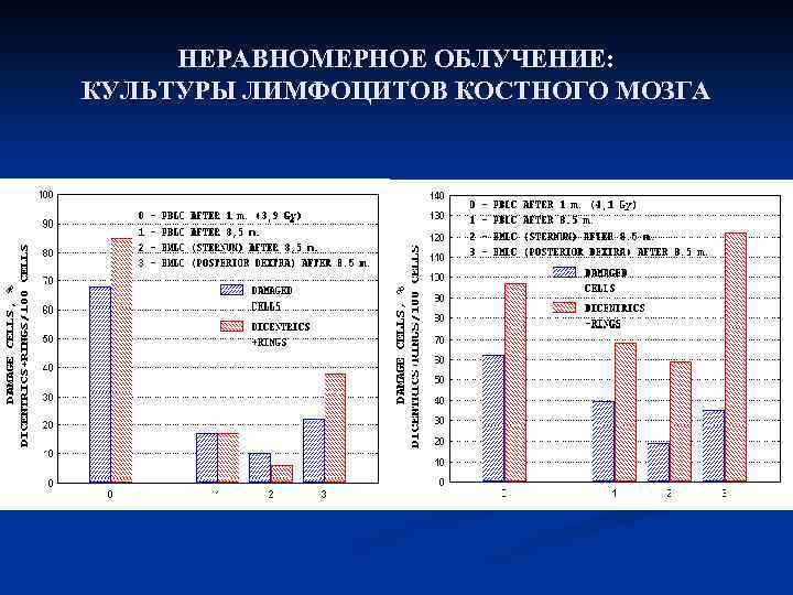 НЕРАВНОМЕРНОЕ ОБЛУЧЕНИЕ: КУЛЬТУРЫ ЛИМФОЦИТОВ КОСТНОГО МОЗГА 