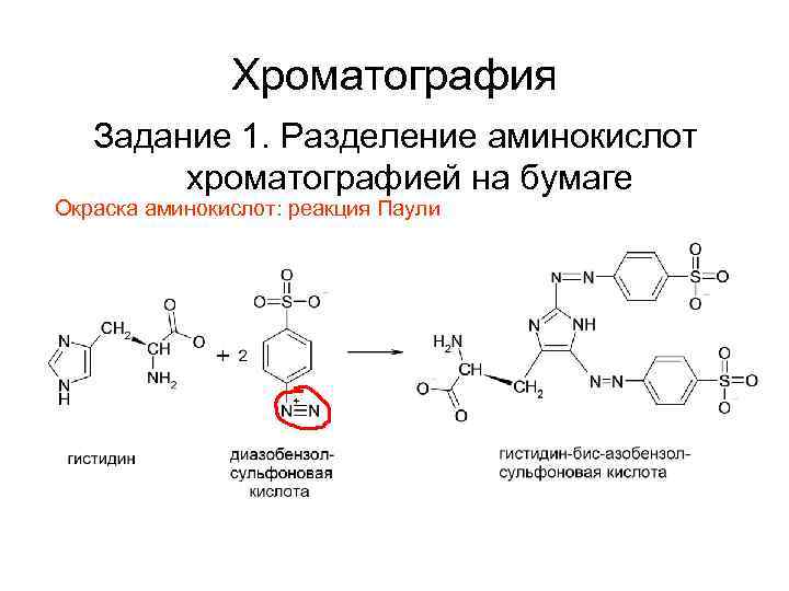 Хроматография Задание 1. Разделение аминокислот хроматографией на бумаге Окраска аминокислот: реакция Паули 
