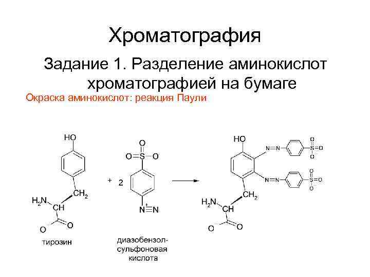 Хроматография Задание 1. Разделение аминокислот хроматографией на бумаге Окраска аминокислот: реакция Паули 
