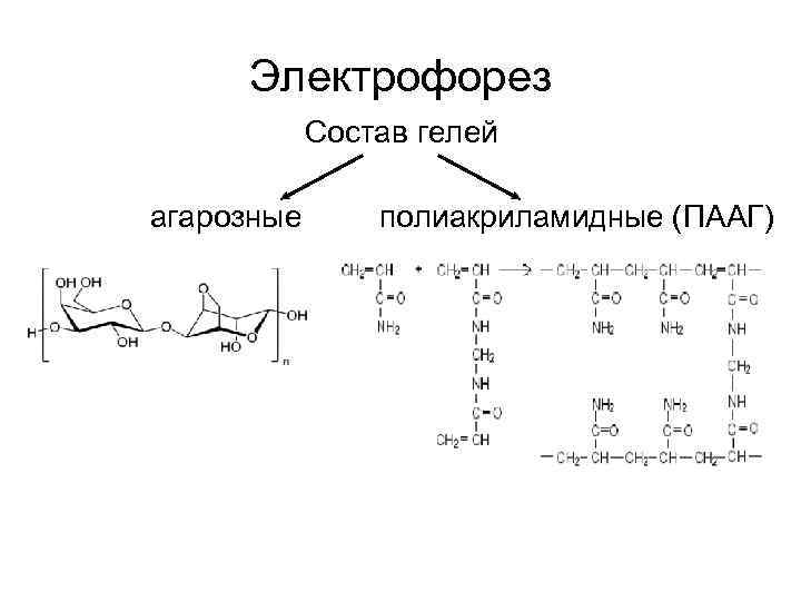 Электрофорез Состав гелей агарозные полиакриламидные (ПААГ) 