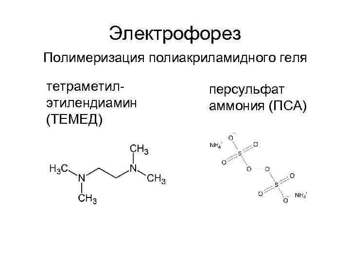 Электрофорез Полимеризация полиакриламидного геля тетраметилэтилендиамин (ТЕМЕД) персульфат аммония (ПСА) 
