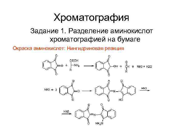 Хроматография Задание 1. Разделение аминокислот хроматографией на бумаге Окраска аминокислот: Нингидриновая реакция 