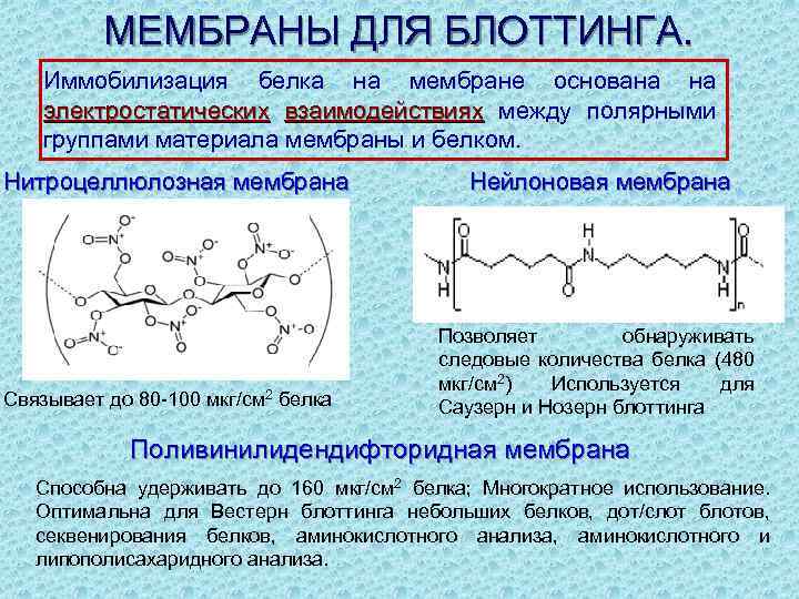 Физико химические свойства белка. Нитроцеллюлозная мембрана. Иммобилизация белков. Нитроцеллюлозные мембраны для иммобилизации белков. Электростатическое взаимодействие белков.