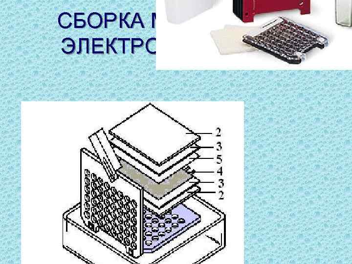 СБОРКА МОДУЛЯ ДЛЯ ЭЛЕКТРОБЛОТТИНГА 