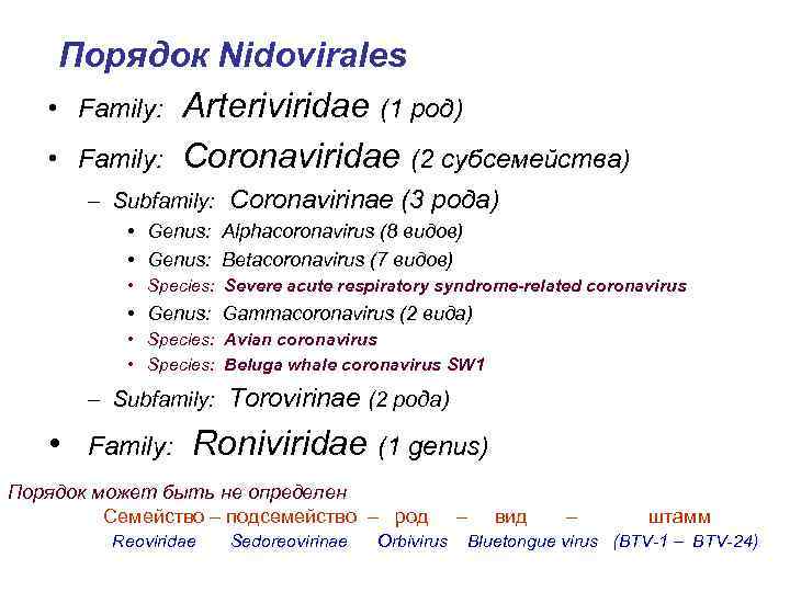  Порядок Nidovirales • Family: Arteriviridae (1 род) • Family: Coronaviridae (2 субсемейства) –