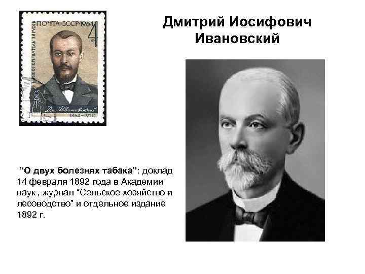 Дмитрий Иосифович Ивановский “О двух болезнях табака”: доклад 14 февраля 1892 года в Академии
