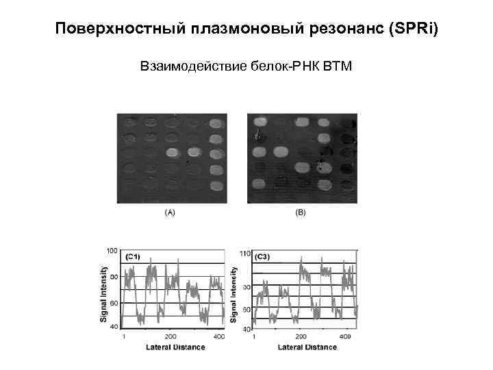 Поверхностный плазмоновый резонанс (SPRi) Взаимодействие белок-РНК ВТМ 