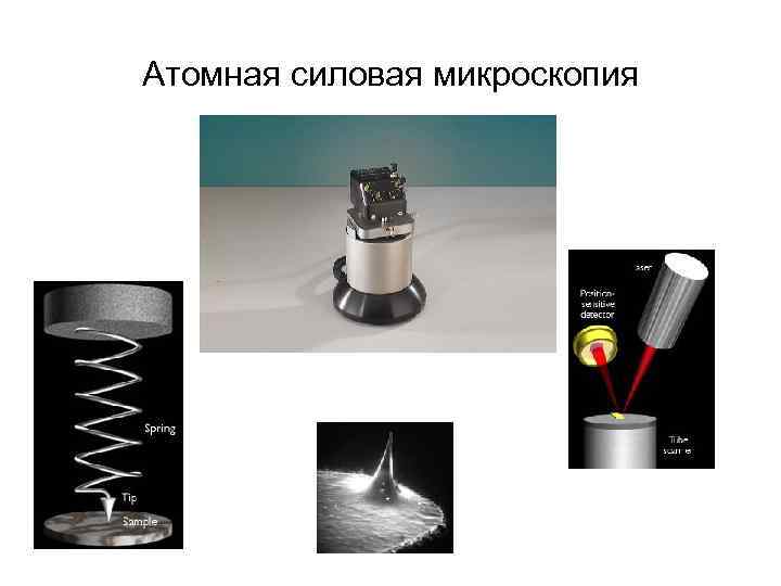 Атомная силовая микроскопия 