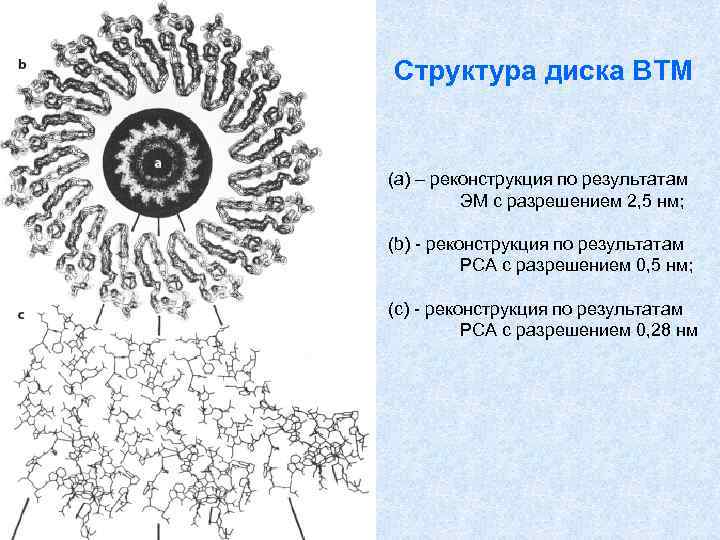 Структура диска ВТМ (а) – реконструкция по результатам ЭМ с разрешением 2, 5 нм;