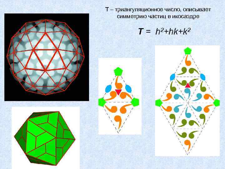 Т – триангуляционное число, описывает симметрию частиц в икосаэдре T = h 2+hk+k 2