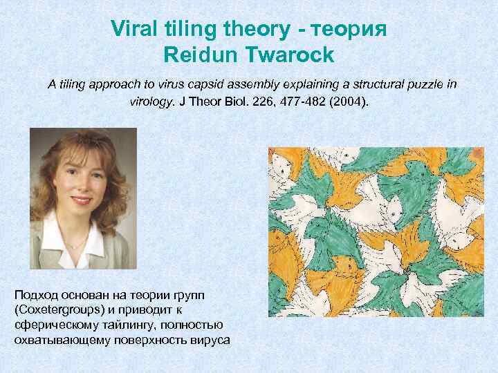 Viral tiling theory - теория Reidun Twarock A tiling approach to virus capsid assembly