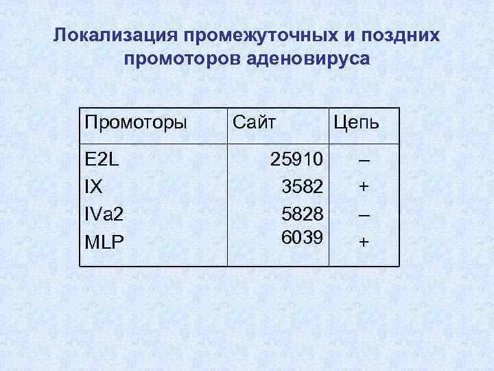 Локализация промежуточных и поздних промоторов аденовируса Промоторы Е 2 L IX IVa 2 MLP