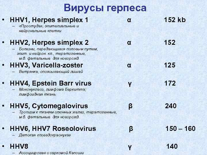 Вирусы герпеса • HHV 1, Herpes simplex 1 α 152 kb α 152 α