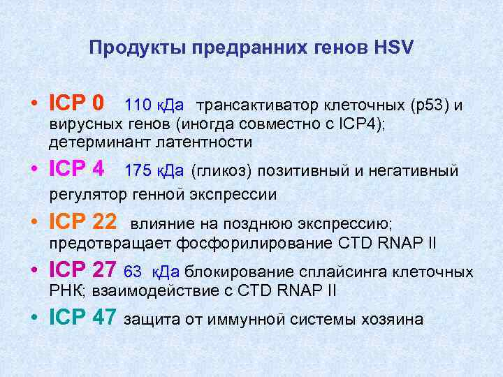 Продукты предранних генов HSV • ICP 0 110 к. Да трансактиватор клеточных (р53) и