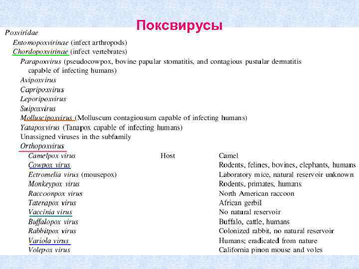 Поксвирусы 