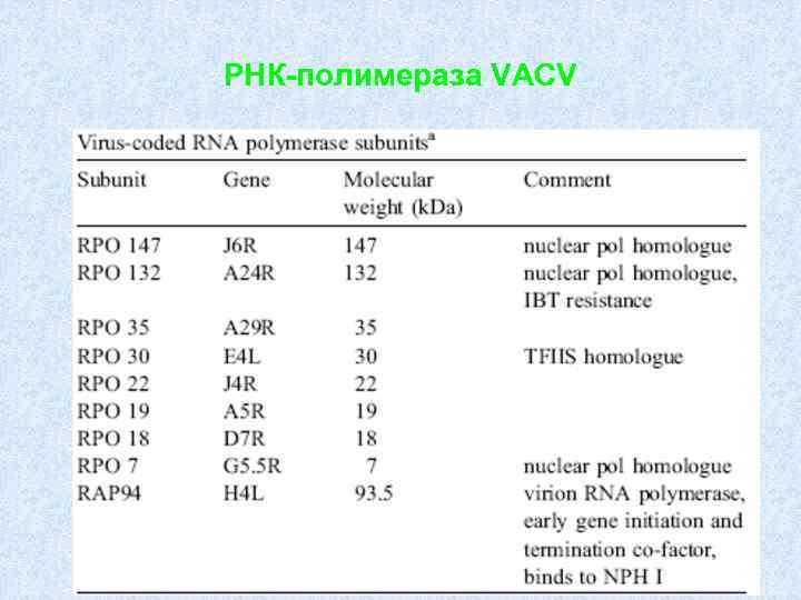 РНК-полимераза VACV 