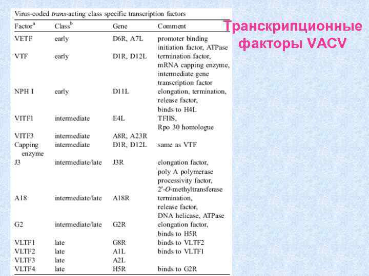Транскрипционные факторы VACV 