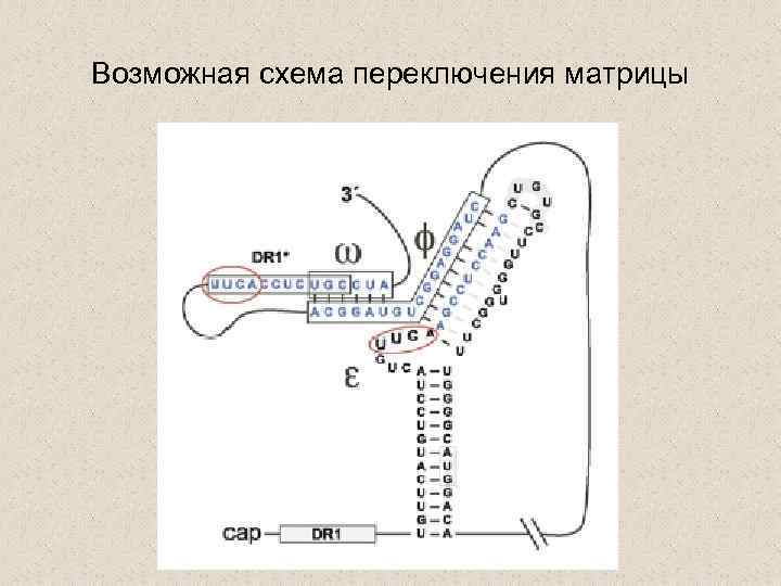 Возможная схема переключения матрицы 