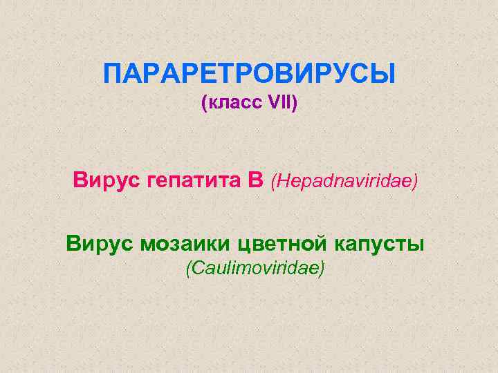 ПАРАРЕТРОВИРУСЫ (класс VII) Вирус гепатита В (Hepadnaviridae) Вирус мозаики цветной капусты (Сaulimoviridae) 