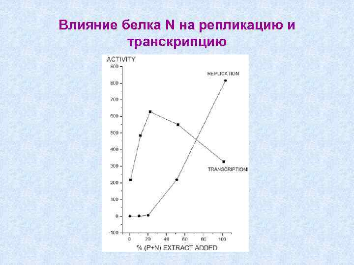 Влияние белка N на репликацию и транскрипцию 