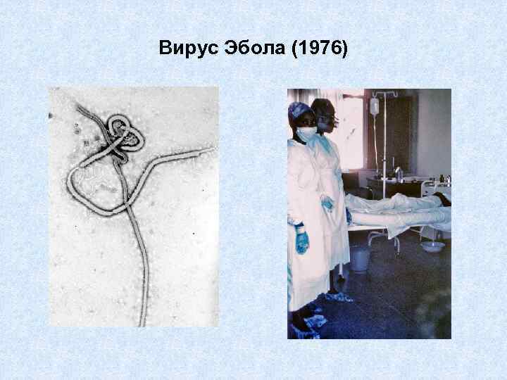 Вирус Эбола (1976) 