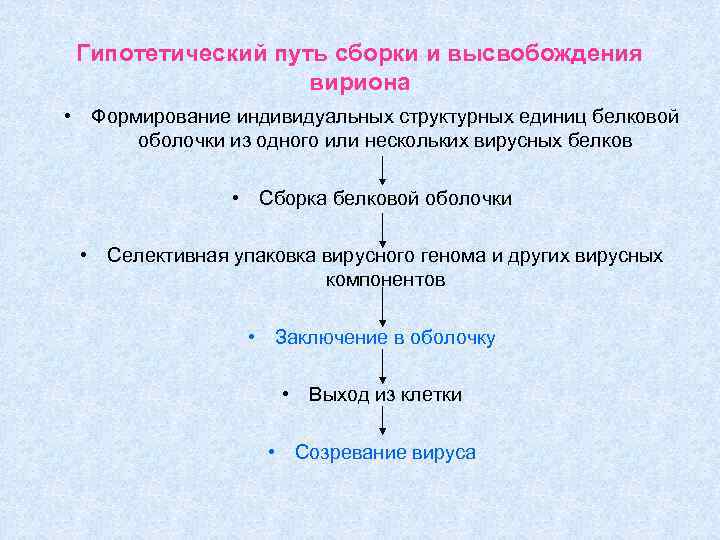Гипотетический путь сборки и высвобождения вириона • Формирование индивидуальных структурных единиц белковой оболочки из