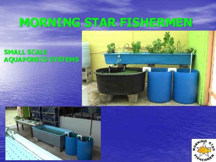 MORNING STAR FISHERMEN SMALL SCALE AQUAPONICS SYSTEMS 