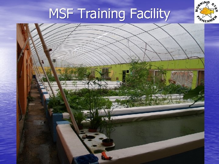 MSF Training Facility 