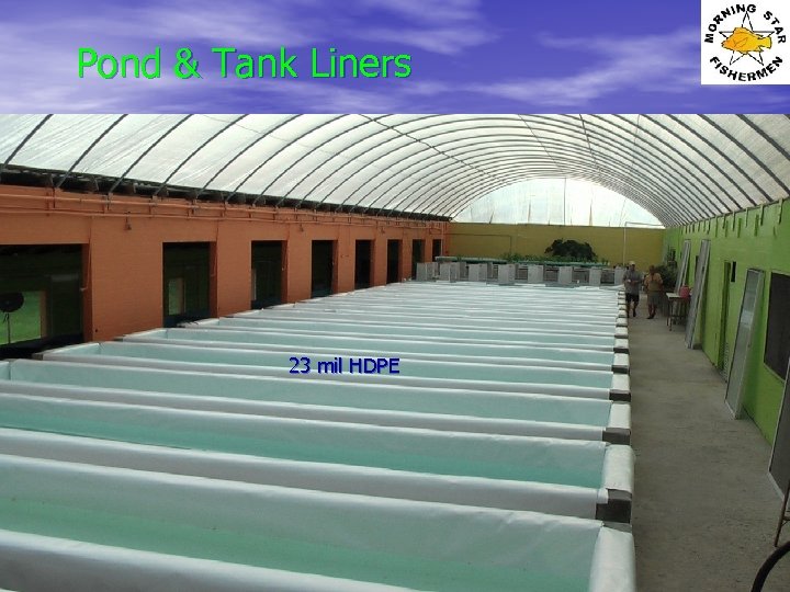 Pond & Tank Liners • Must be safe for fish and aquatic plant life.