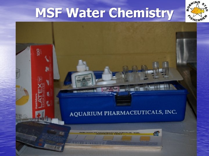 MSF Water Chemistry 