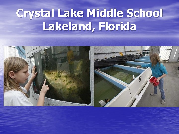 Crystal Lake Middle School Lakeland, Florida 