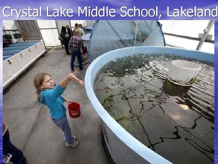 Crystal Lake Middle School, Lakeland 