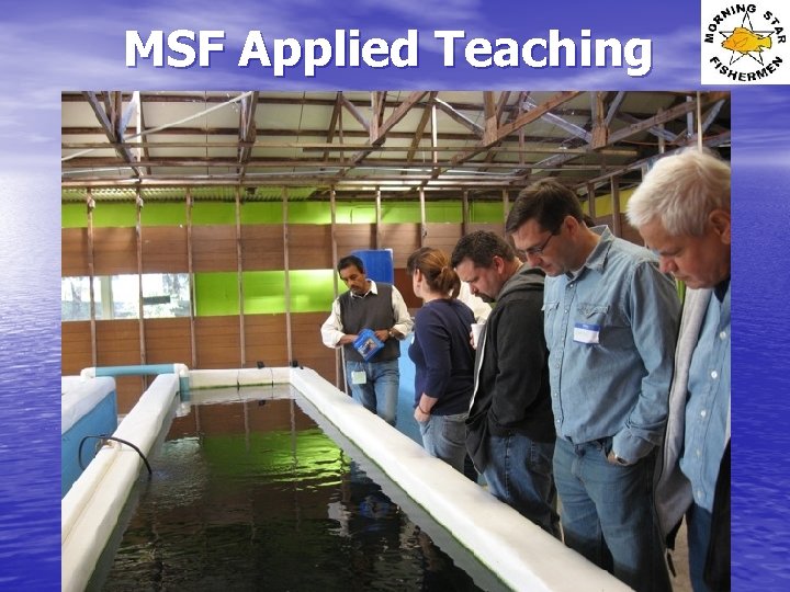 MSF Applied Teaching 