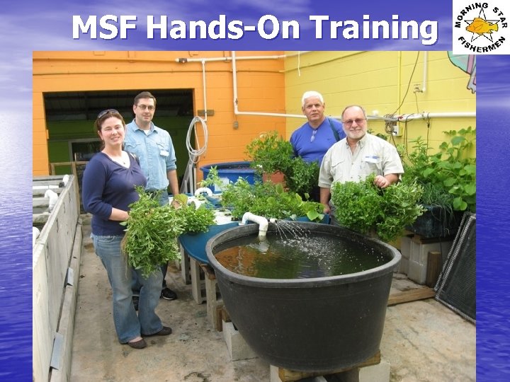 MSF Hands-On Training 