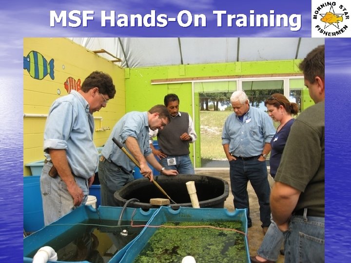 MSF Hands-On Training 